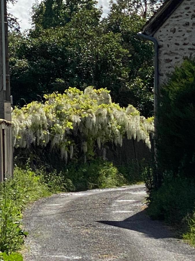 Le Moulin Bleu Bed and Breakfast Saint Cyr-sous-Dourdan Buitenkant foto